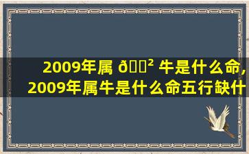 2009年属 🌲 牛是什么命,2009年属牛是什么命五行缺什么